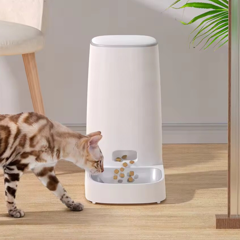 Automatic Cat Feeder