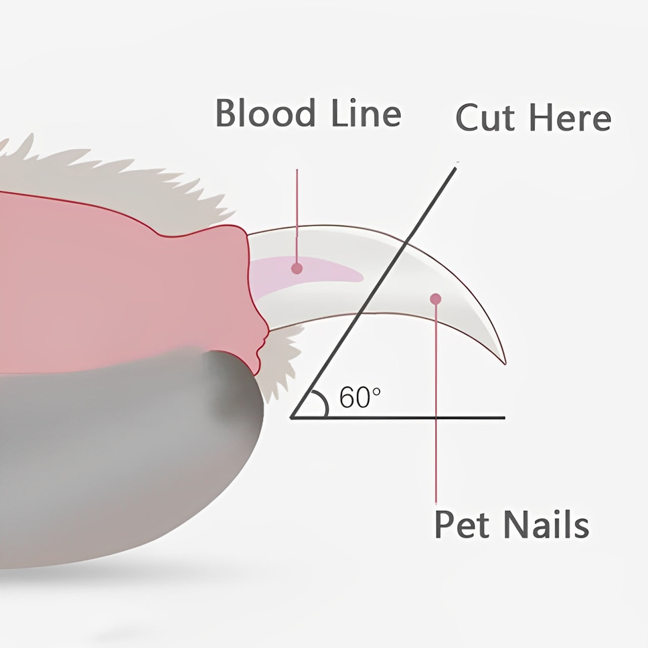 Professional Cat Nail Clippers with Led Light Nail Trimmer