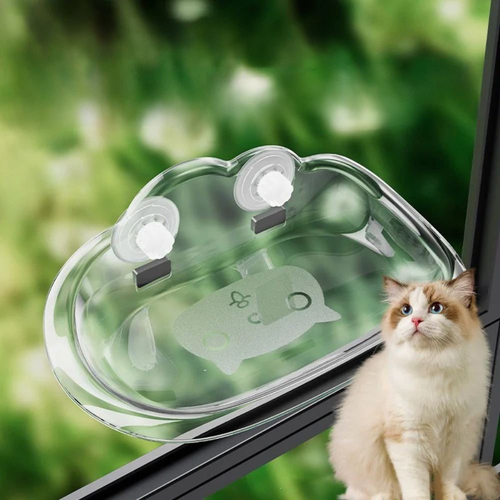 New Transparent Cat Window Bed Suction Cup