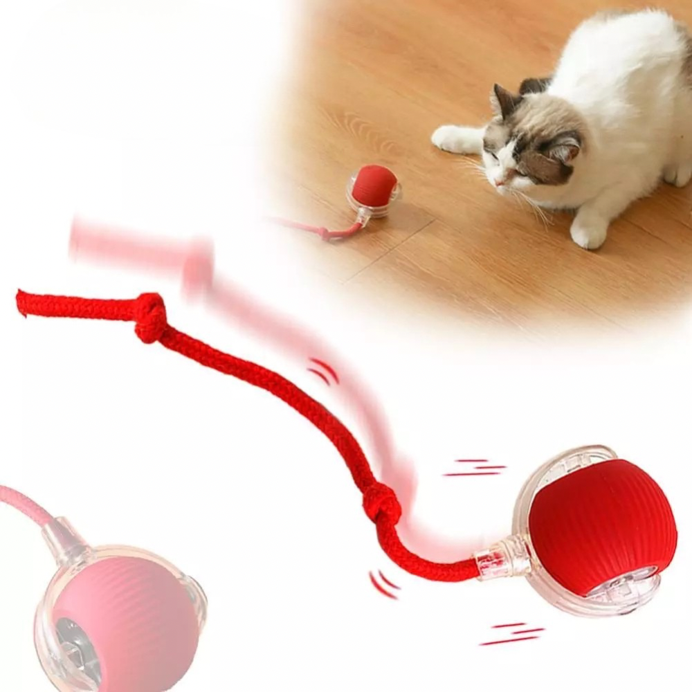 Cat Interactive Smart Ball