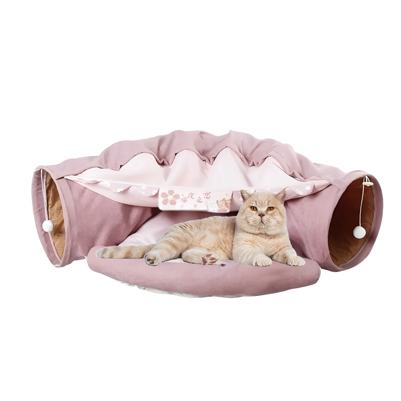 Foldable Cat Tunnel With Washable Bed